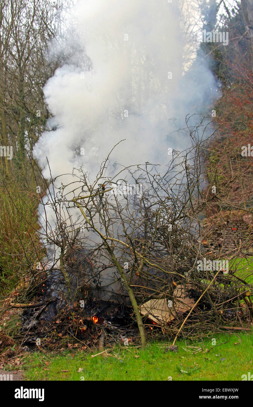 brennende feuchten Gartenabfällen, Deutschland Stockfoto