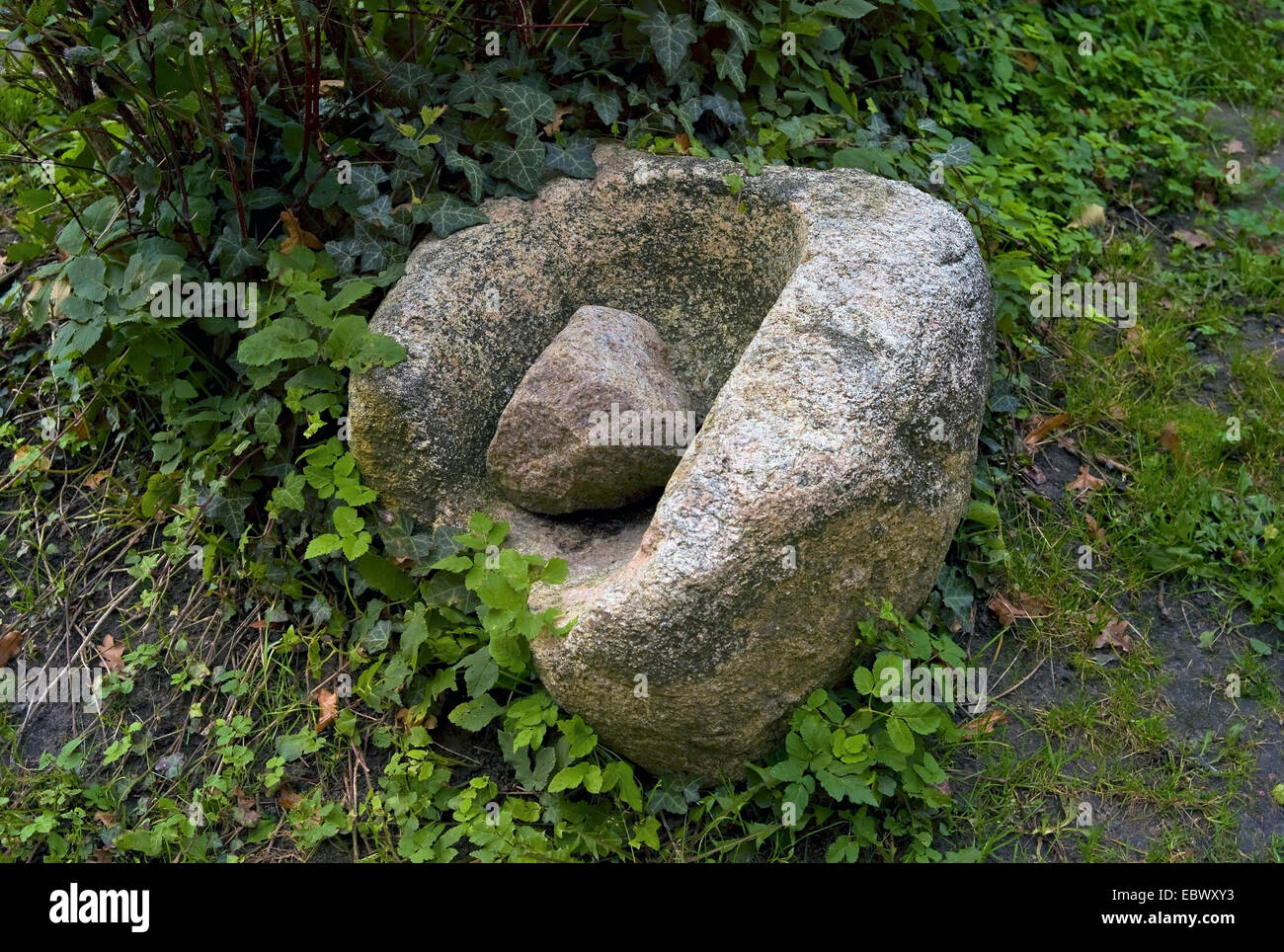 Mühlstein aus der Bronzezeit, Deutschland, Mecklenburg-Vorpommern, Usedom, Morgenitz Stockfoto