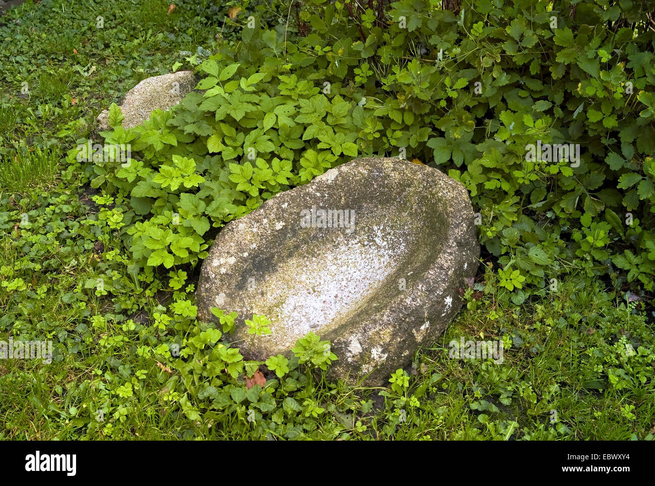 Mühlsteine aus der Bronzezeit, Deutschland, Mecklenburg-Vorpommern, Usedom, Morgenitz Stockfoto