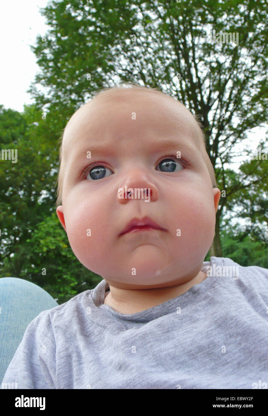 mollig-faced Baby, portrait Stockfoto