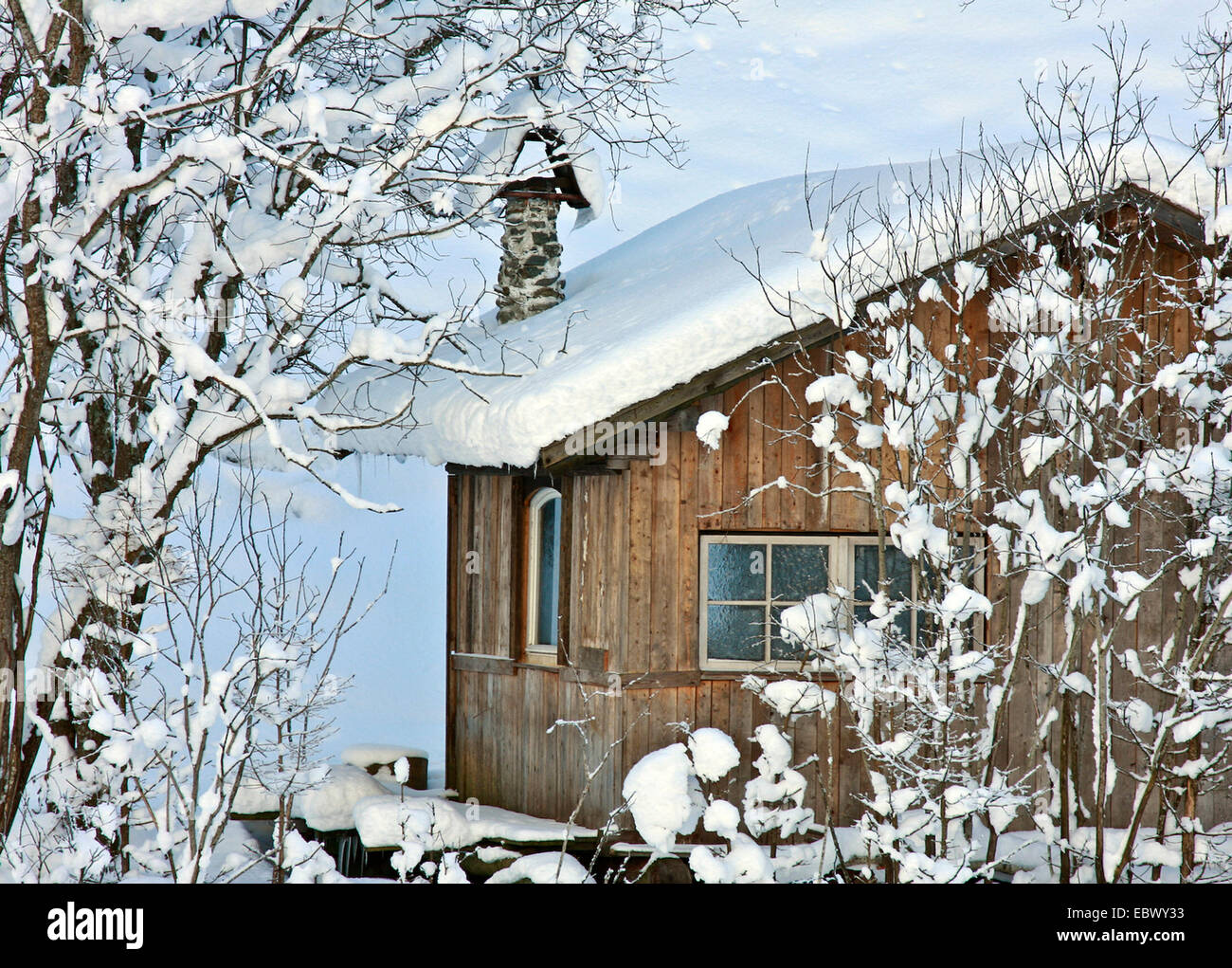 Haus im Winter, Österreich, Tirol, Kuehtai Stockfoto