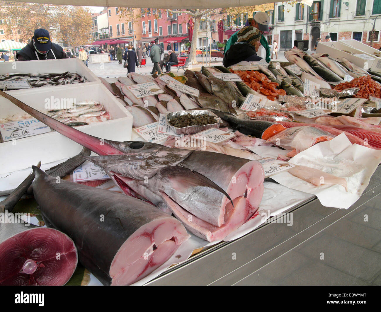 Campo Santa Margherita. Schwertfisch und Meeresfrüchte auf dem Fischmarkt in Venedig, Italien, Venedig Stockfoto