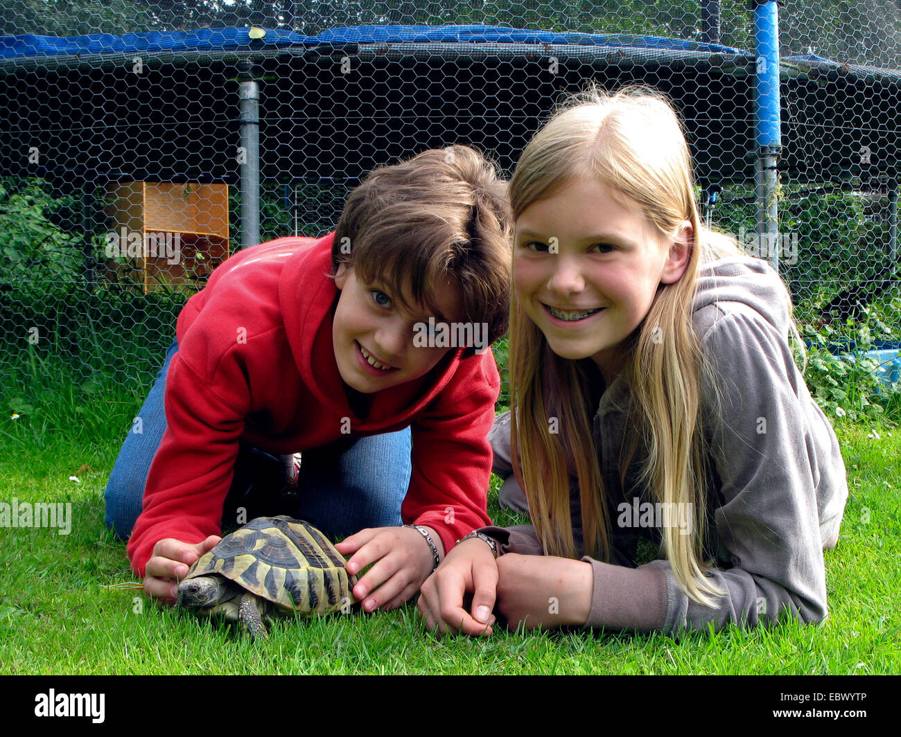 Schildkröte (Testudo spec.), Freundinnen liegen in den Rasen mit Schildkröte Stockfoto