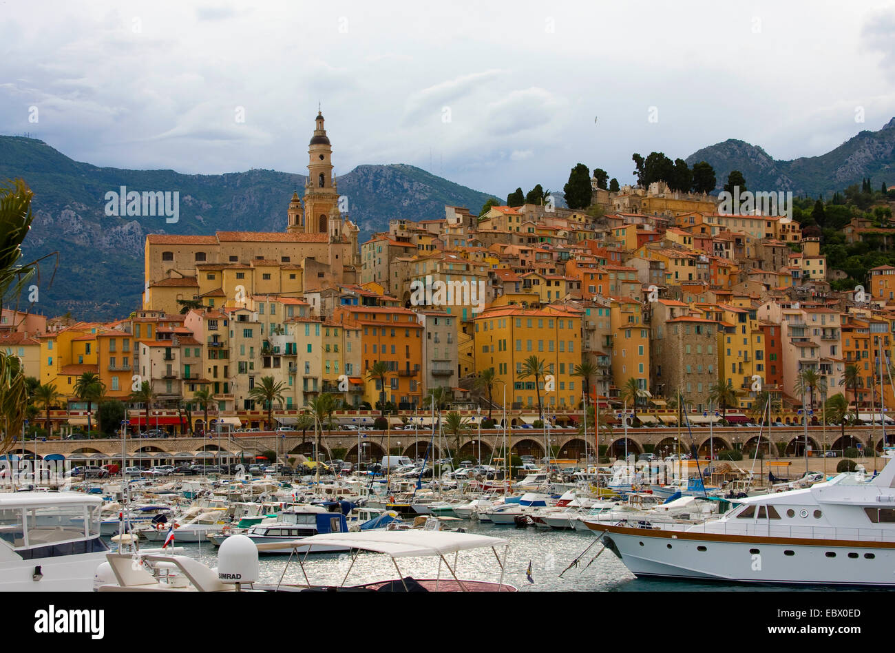 Blick über die Marina in der barocken Basilika Saint-Michel Archange, Frankreich, Menton Stockfoto