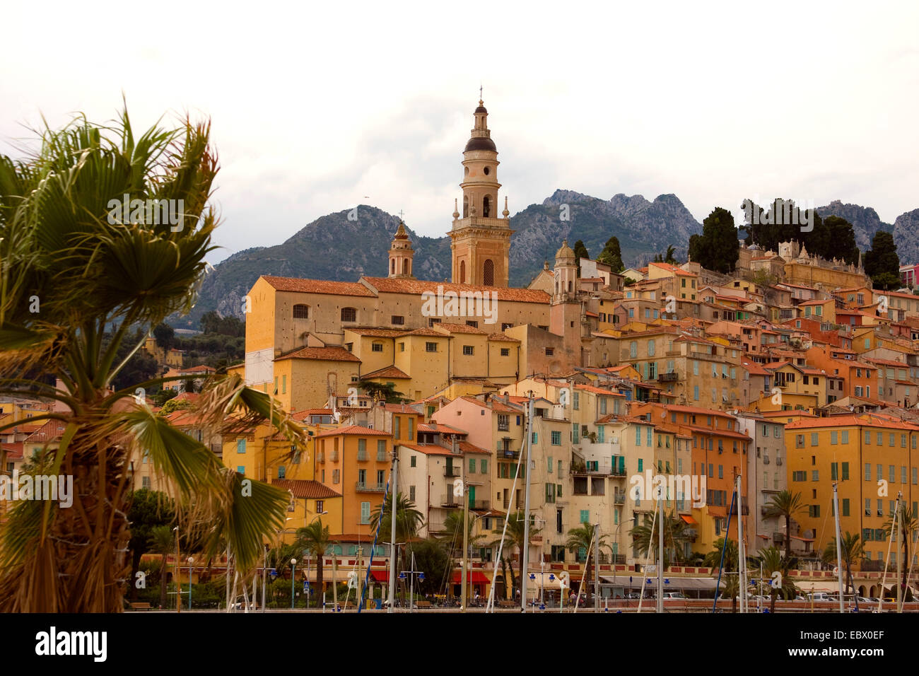 Blick über die Marina in der barocken Basilika Saint-Michel Archange, Frankreich, Menton Stockfoto