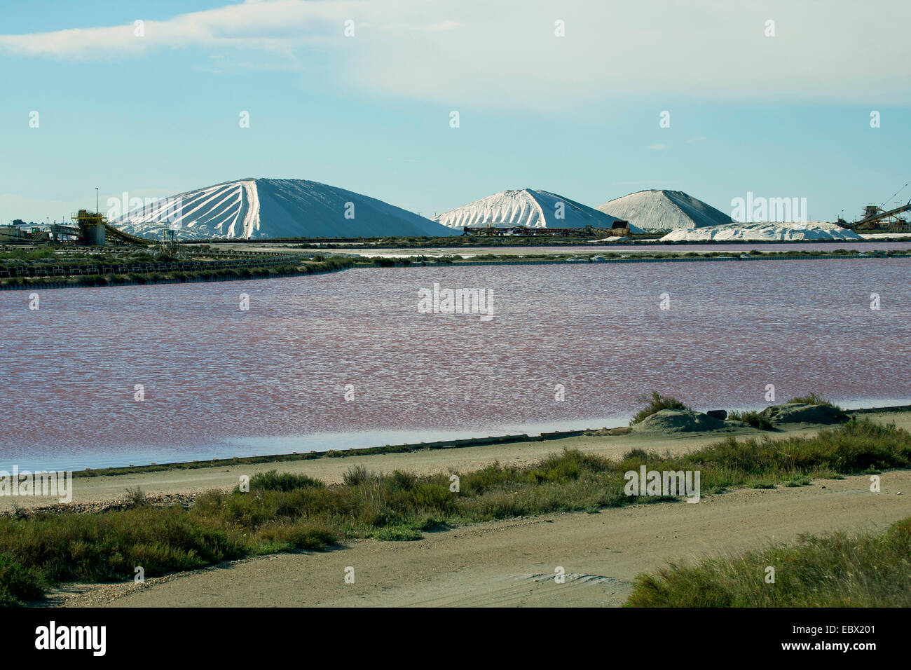 Meer Salzproduktion in den Salinen von Salins du Midi, Frankreich, Aigues-Mortes, Camargue Stockfoto