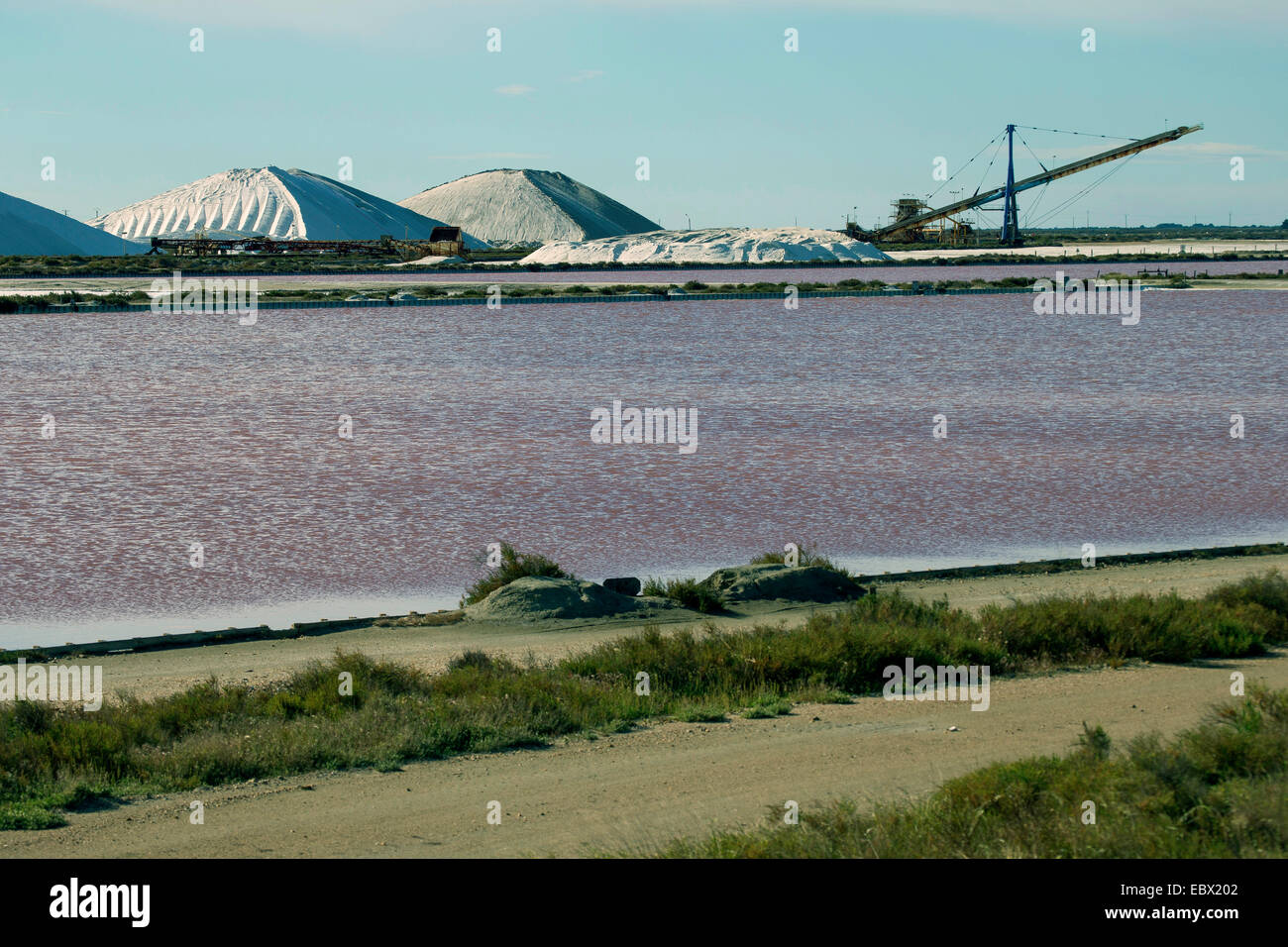 Meer Salzproduktion in den Salinen von Salins du Midi, Frankreich, Aigues-Mortes, Camargue Stockfoto