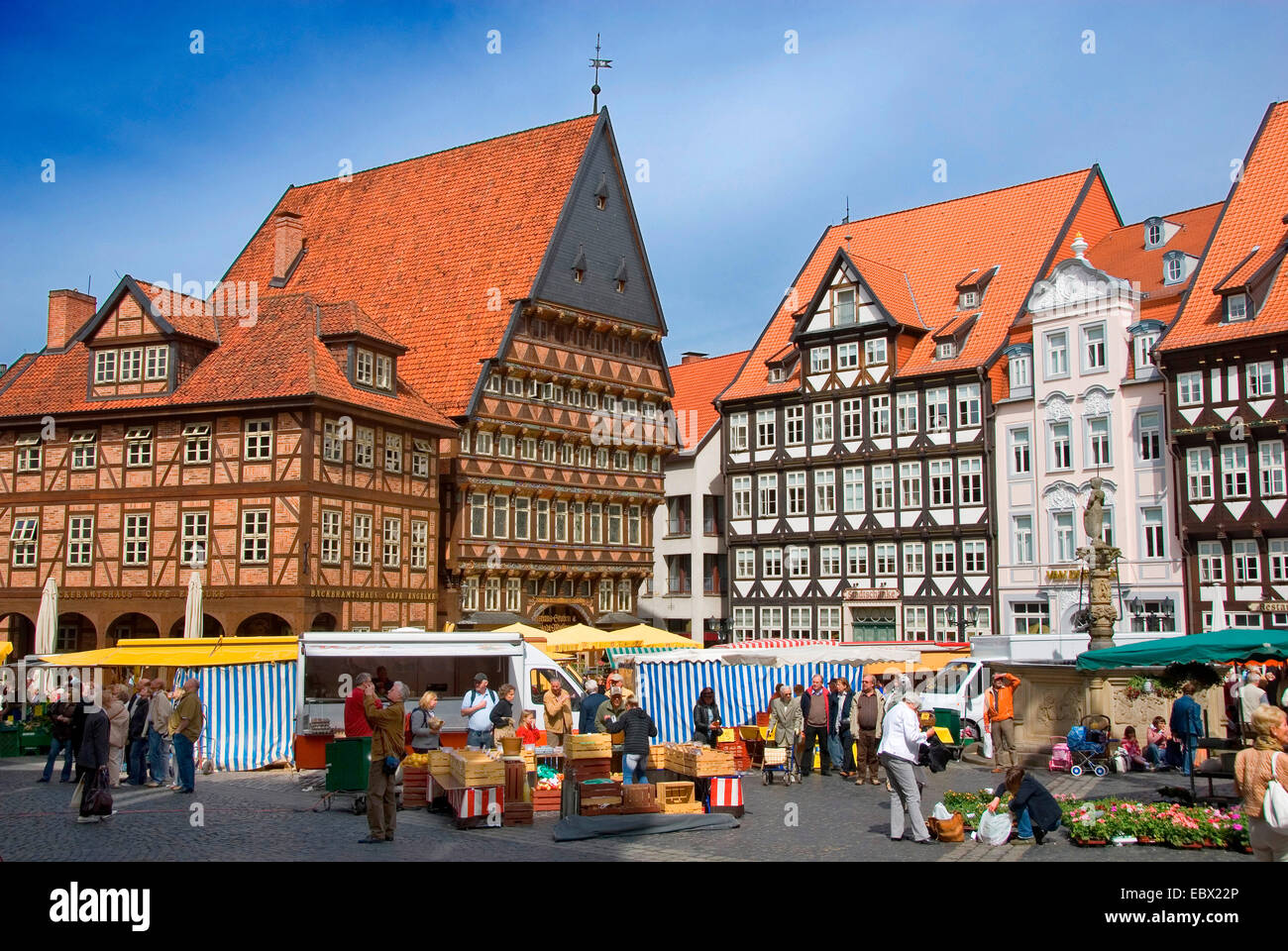 Markt auf dem historischen Marktplatz, Deutschland, Niedersachsen, Hildesheim Stockfoto