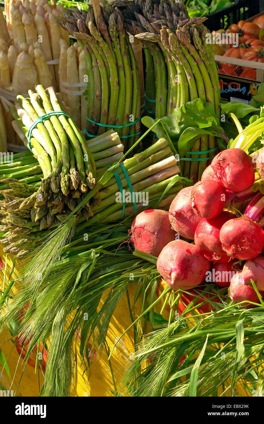 Spargel und Radieschen auf dem Markt, Italien Stockfoto