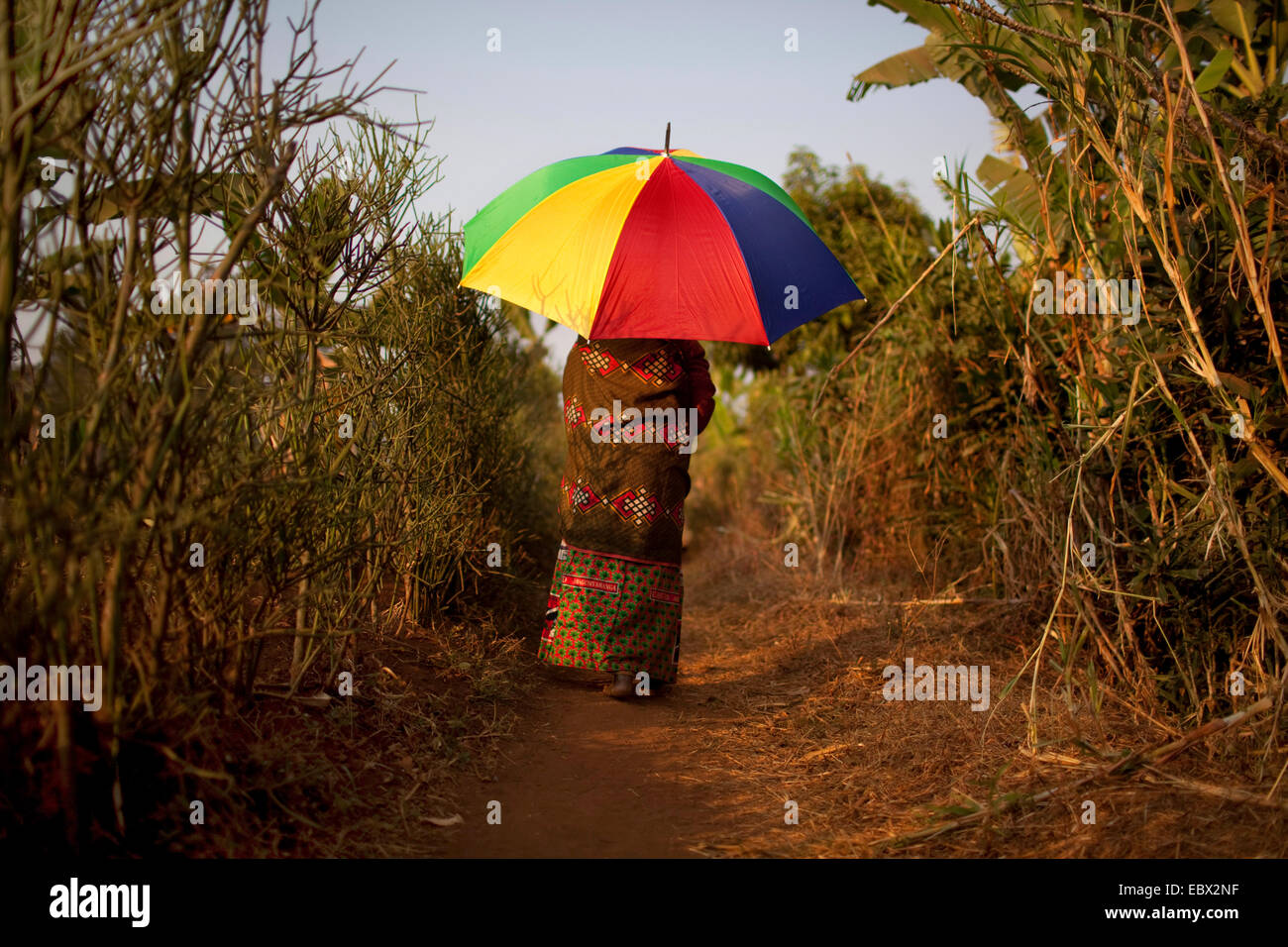 alte Frau in traditioneller Kleidung zu Fuß auf Weg mit Regenschirm als Sonnenschutz, Burundi, Karuzi, Buhiga Stockfoto
