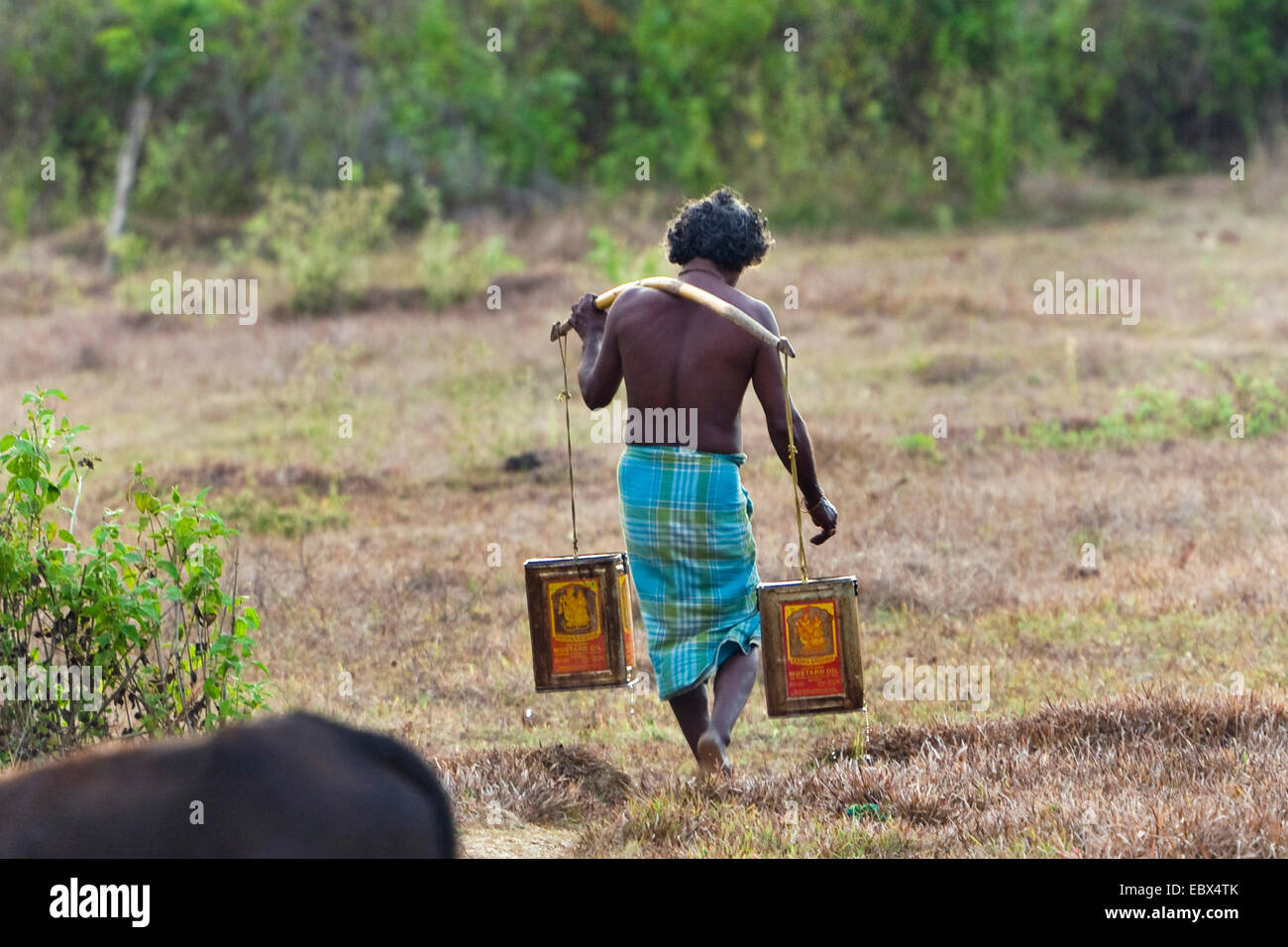 Mann mit Wasser, Indien, Andamanen Stockfoto