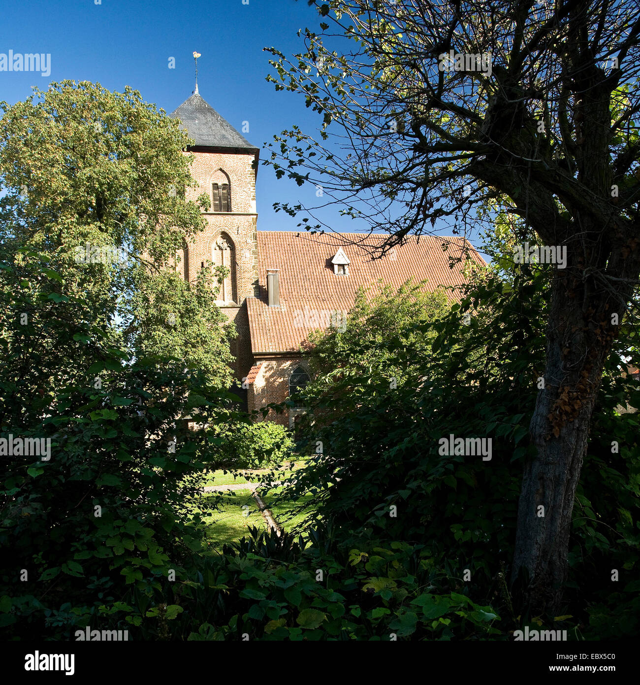 evangelische St.-Georg-Kirche in Schermbeck, Ruhrgebiet, NRW, Schermbeck, Deutschland Stockfoto