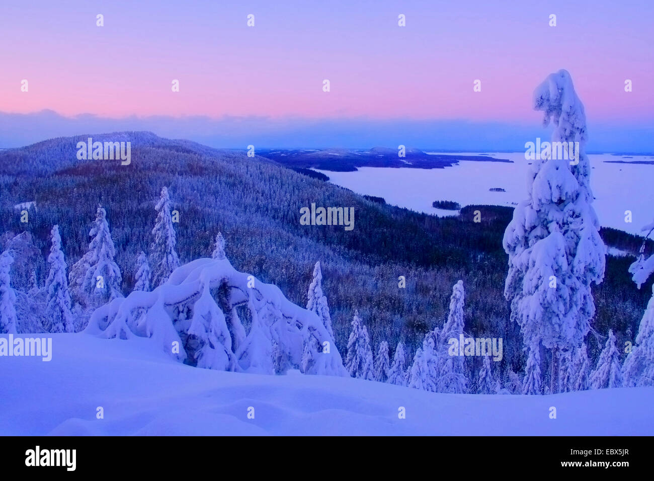 Blick über Schnee bedeckt bewaldete Hügeln im Bereich des Hügels Koli (347 m) in der Nähe der Stadt Lieksa, Finnland, Nord-Karelien Stockfoto
