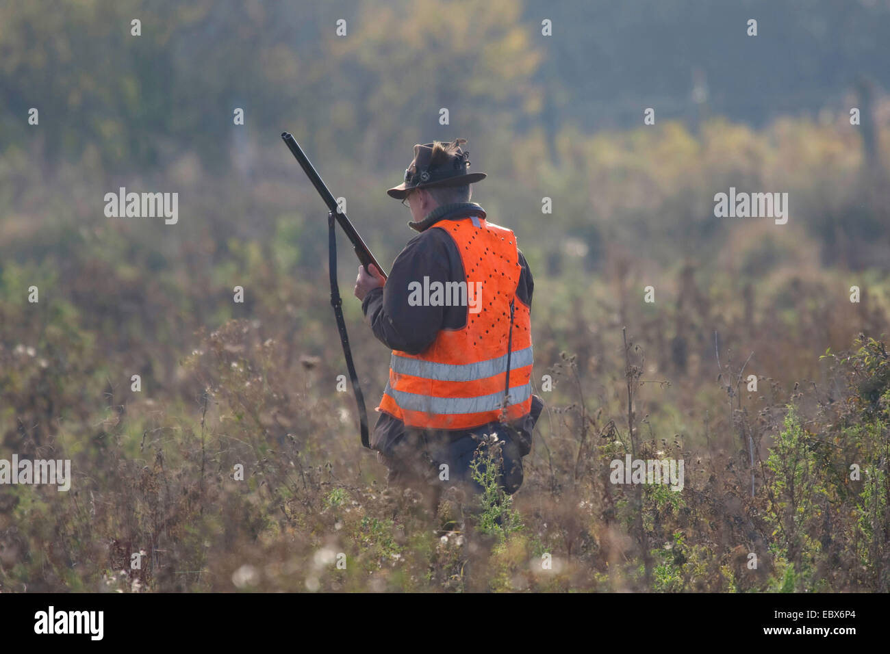 Jäger stehen und warten auf einer Wiese während einer Treibjagd im Oktober mit dem Gewehr eingeebnet, Deutschland Stockfoto