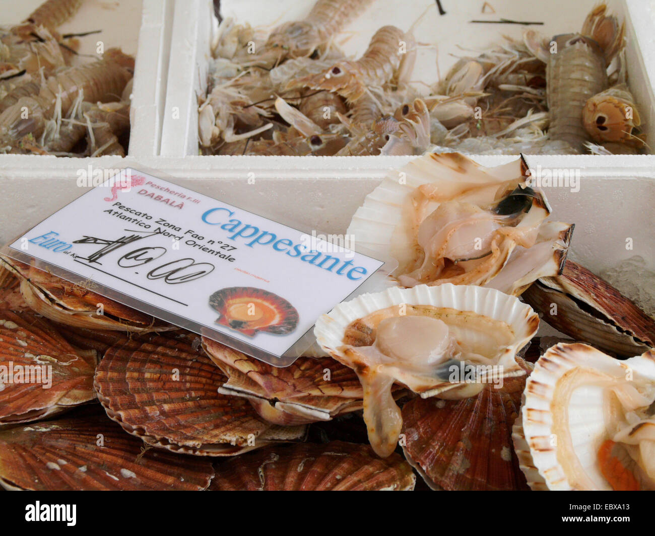 Fisch und Meeresfrüchte in Venedig, Muscheln und Garnelen, Italien, Venedig Stockfoto