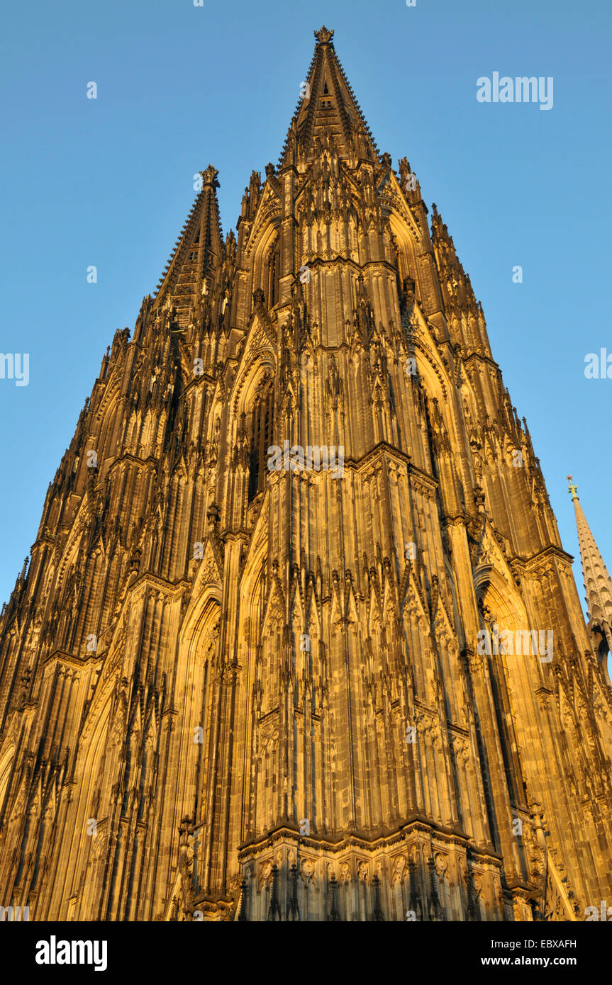West-Verkleidung der Kölner Dom, Deutschland, Nordrhein-Westfalen, Köln Stockfoto