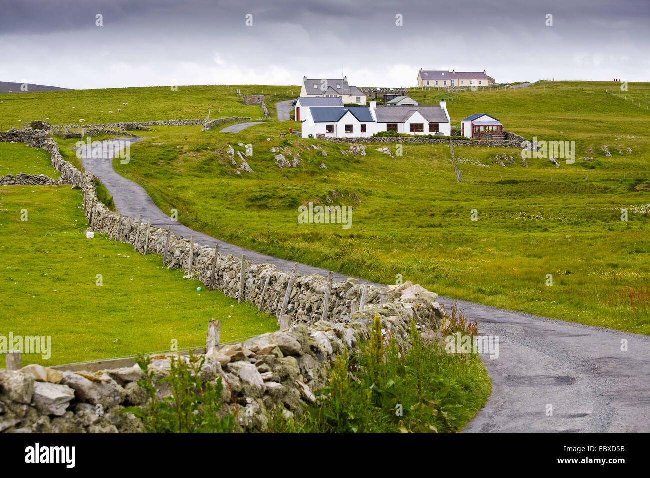 Straße und Häuser im Süden von Fair-Isle, Großbritannien, Schottland, Shetland-Inseln, Fair-Isle Stockfoto