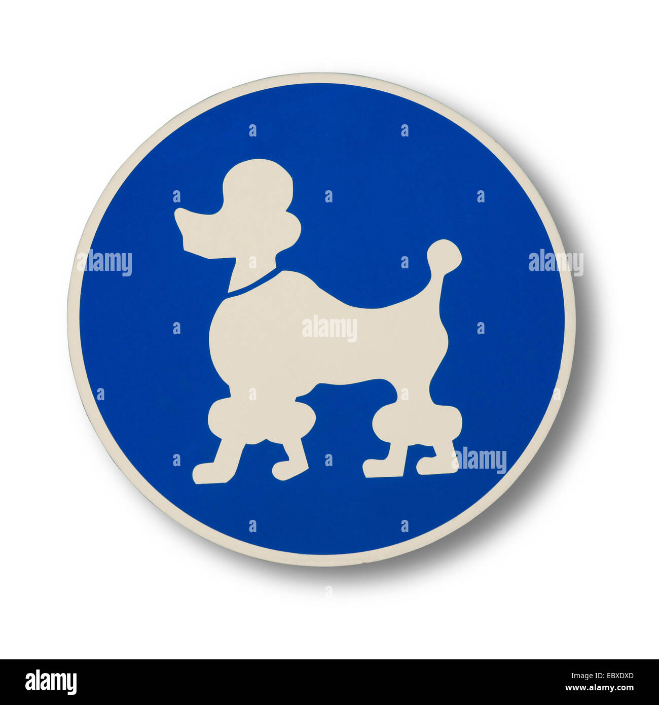 lustige Schild mit einem Poddle Angabe am Hundestrand - Hunde erlaubt, Deutschland Stockfoto