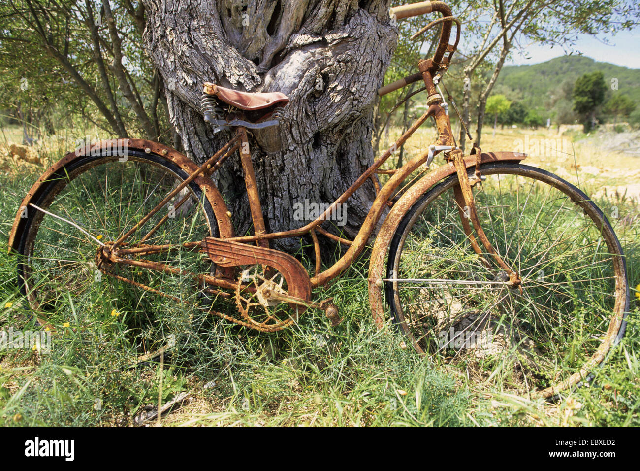 vergessen rostigen Fahrrad auf einer Wiese, Spanien, Balearen, Ibiza Stockfoto