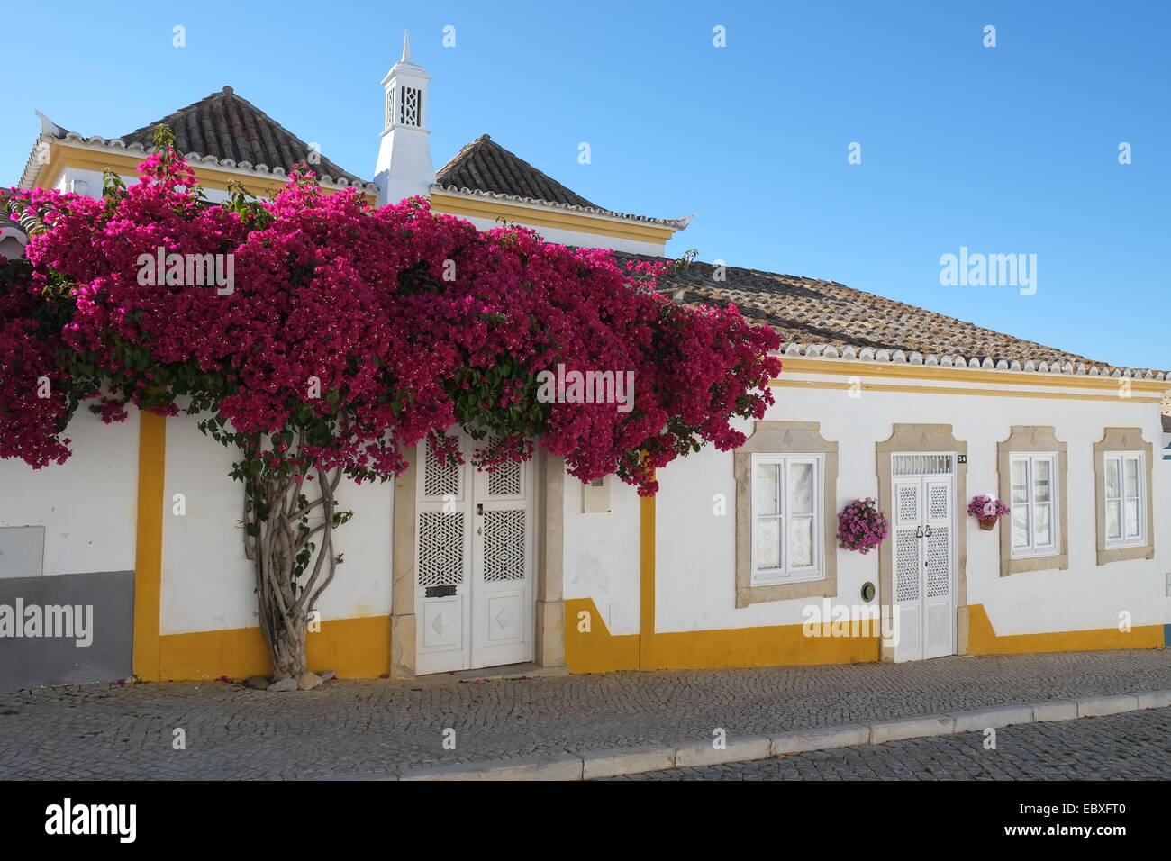 Typisches Haus und Bougainvillea Baum in Tavira, Algarve Stockfoto