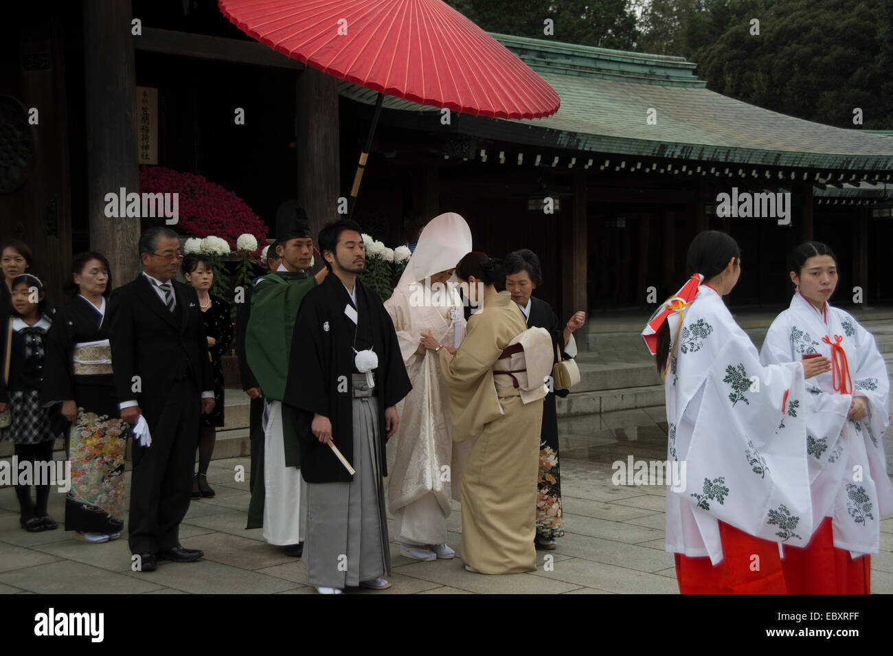 Hochzeit Zeremonien am Meiji-Schrein in Tokio, Japan.  Eine Familie Prozess zum Schrein für ihre Hochzeit-Segen. Stockfoto