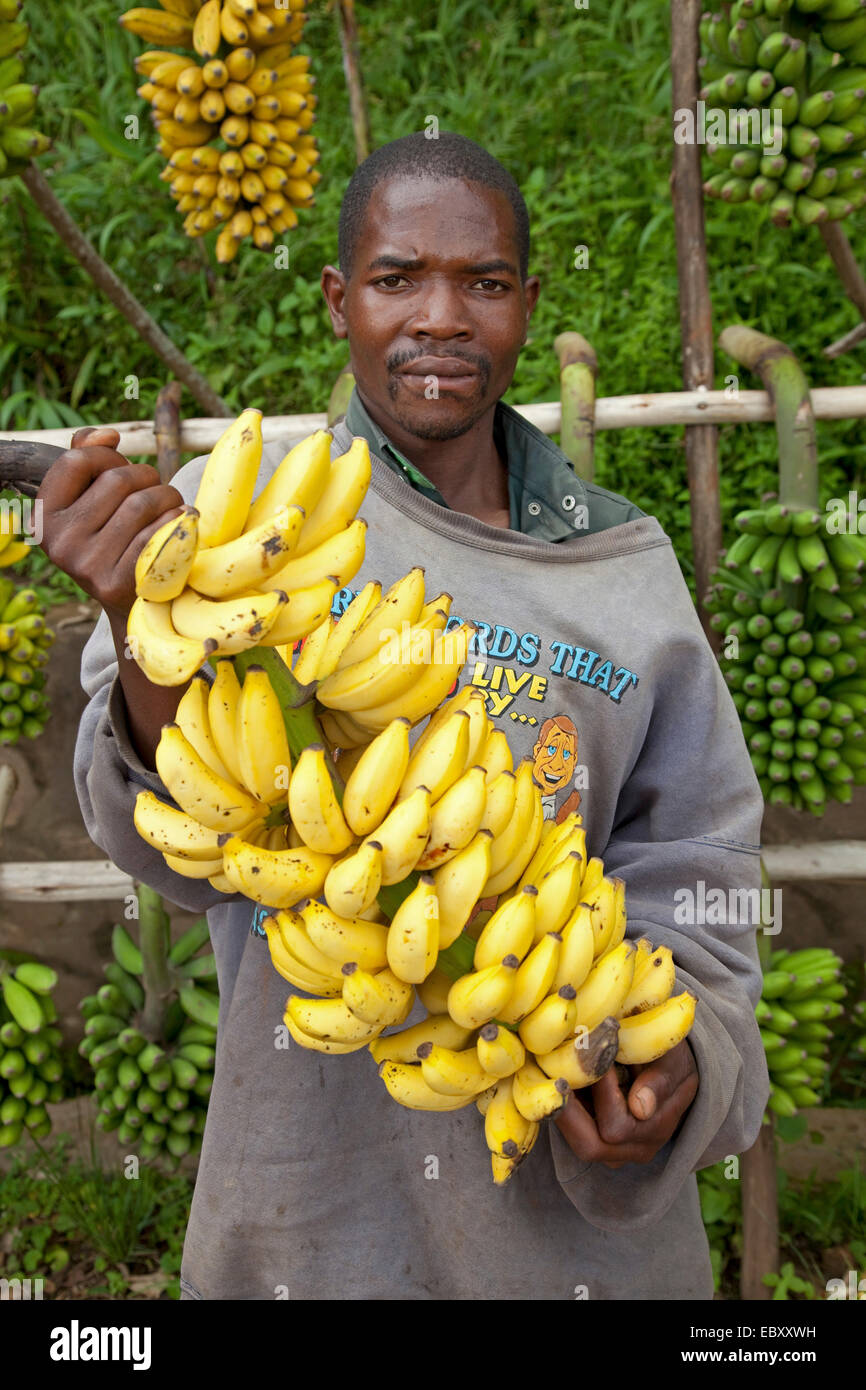 Mann mit Bananen, Burundi, Bujumbura Rural, Bugarama Stockfoto