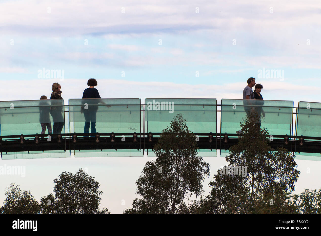 Tree Top Walk in Perth Stockfoto