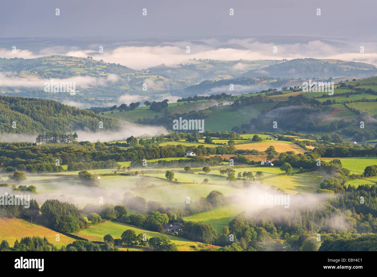 Nebel bedeckt Hügellandschaft im Morgengrauen, Brecon Beacons, Wales. (August) im Sommer 2014. Stockfoto