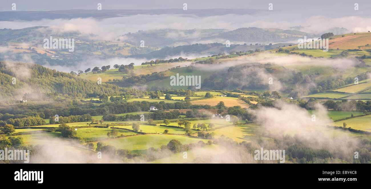 Nebel bedeckt Hügellandschaft des Brecon Beacons, Carmarthenshire, Wales. (August) im Sommer 2014. Stockfoto