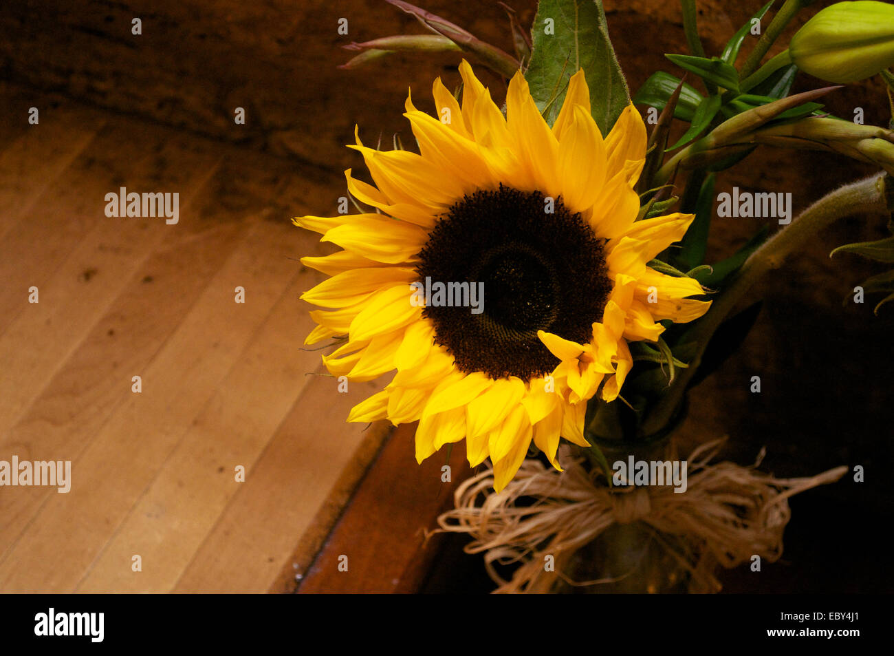 Sonnenblumen Strauß mit Holzboden Hintergrund. Stockfoto