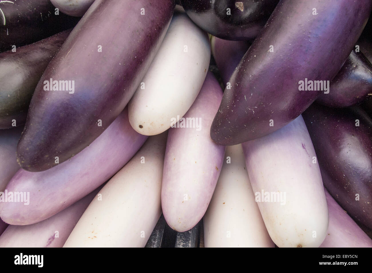 Zwei Sorten von Auberginen zum Verkauf in einen Bauernmarkt. Stockfoto
