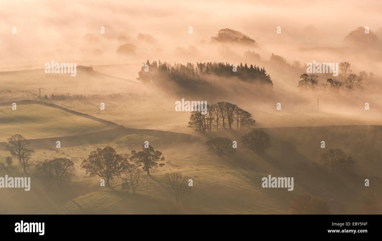 Nebel bedeckt Hügellandschaft an der Dämmerung, Lake District, Cumbria, England. Herbst (November) 2014. Stockfoto