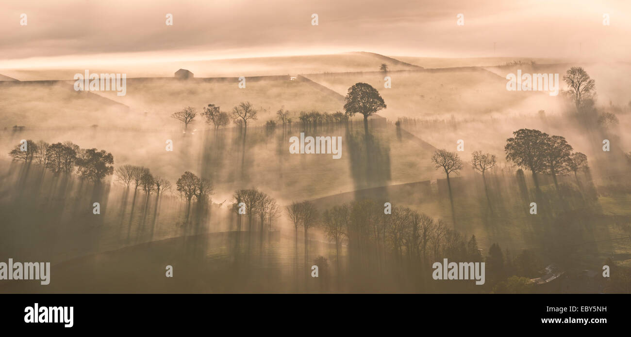 Am frühen Morgennebel bedeckt Ackerland, Lake District, Cumbria, England. Herbst (November) 2014. Stockfoto