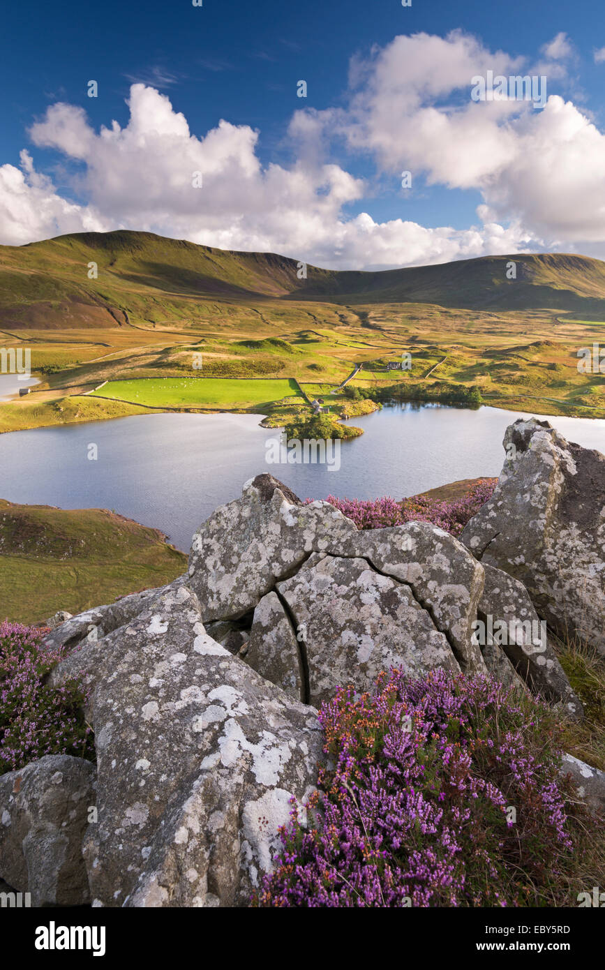 Llynnau Cregennen und Cadair Idris, Snowdonia-Nationalpark, Wales. Herbst (September) 2013. Stockfoto