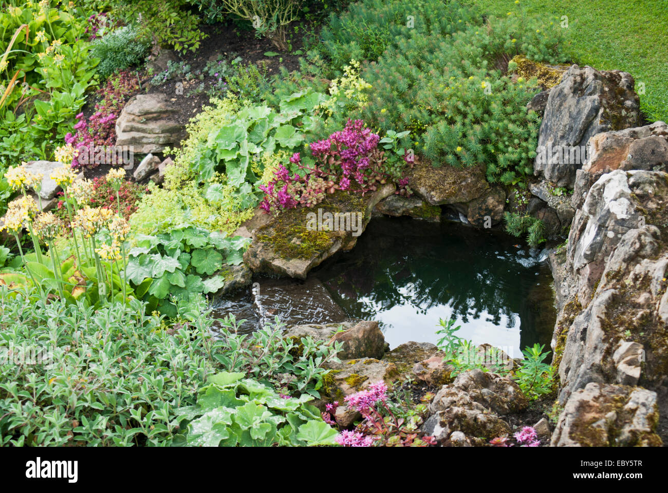 Ein Gartenteich, umgeben von Stauden und mehrjährige Pflanzen Stockfoto