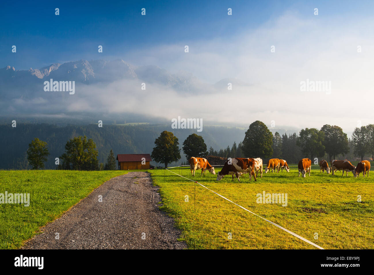 Auf einer Farm in den Bergen Österreichs Stockfoto