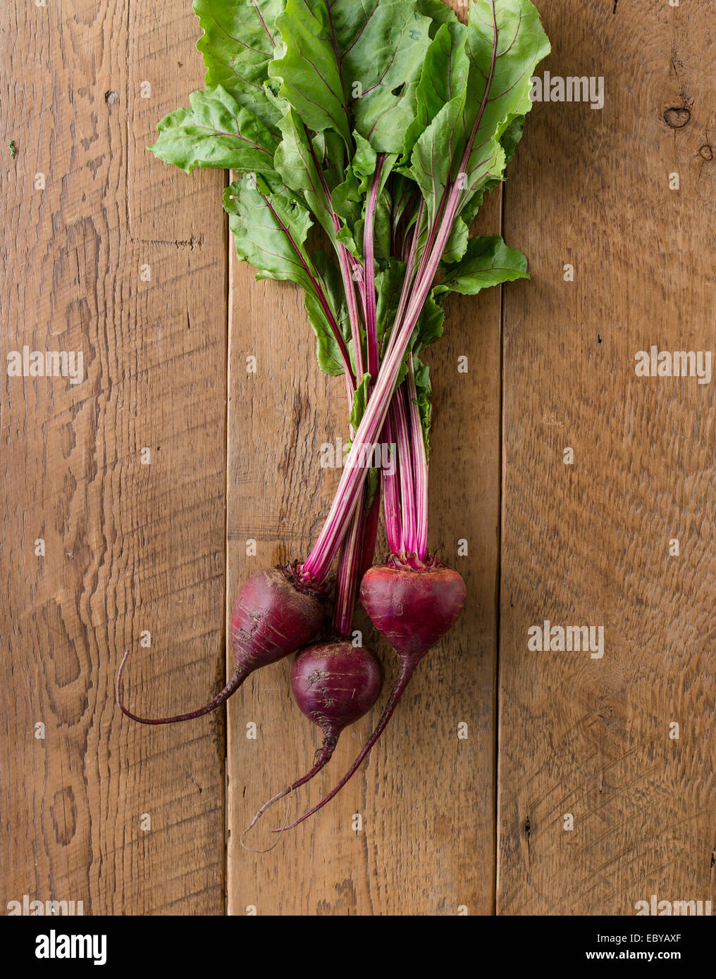 frischen Bio-Produkten Stockfoto