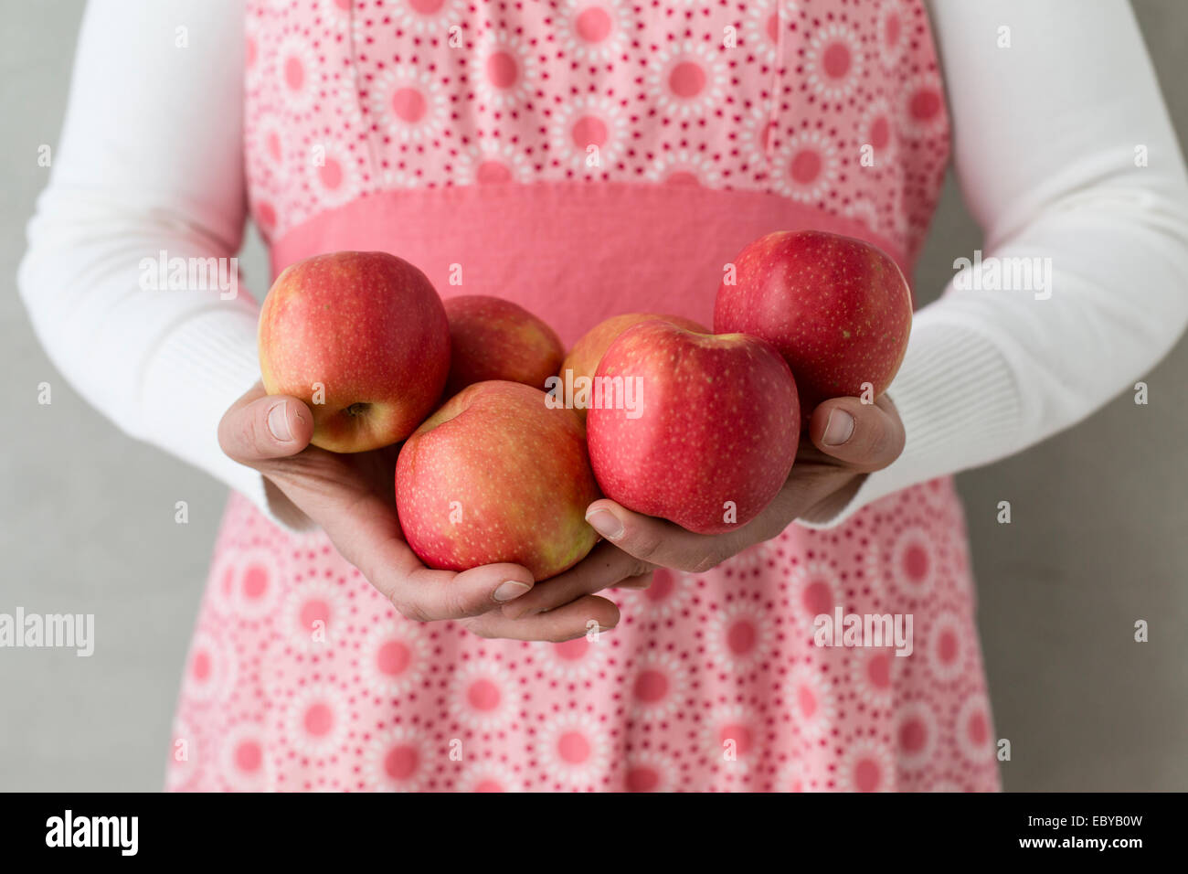 frische Bio-Äpfel Stockfoto