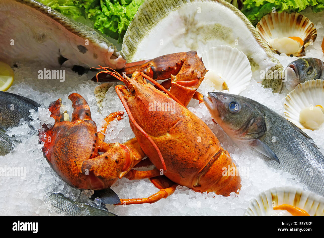 Schließen Sie herauf Bild von frischem Fisch auf dem Eis. Geringe Schärfentiefe mit dem Fokus auf den Hummer. Stockfoto