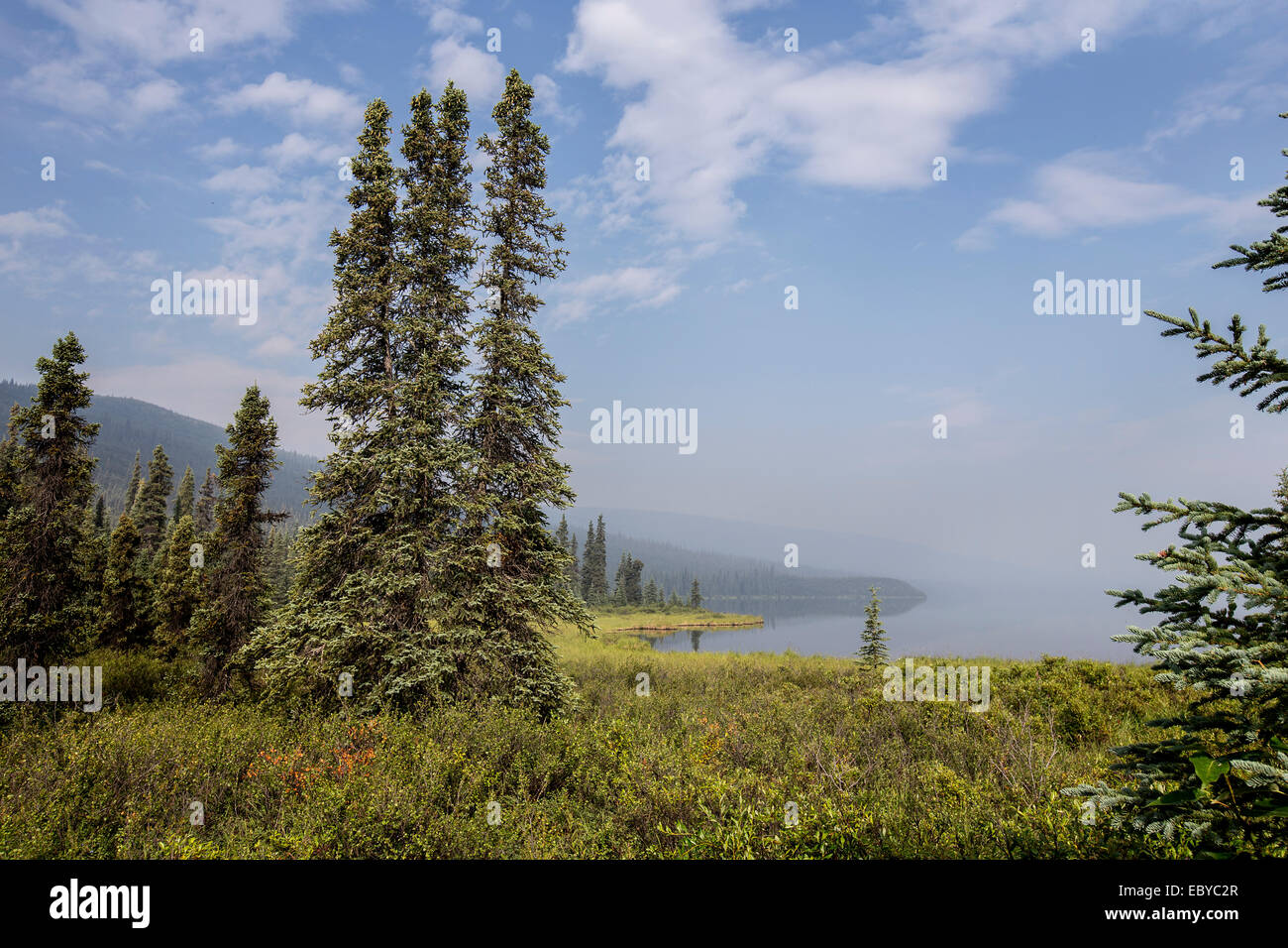 Wonder Lake im Denali Nationalpark in Alaska, USA Stockfoto
