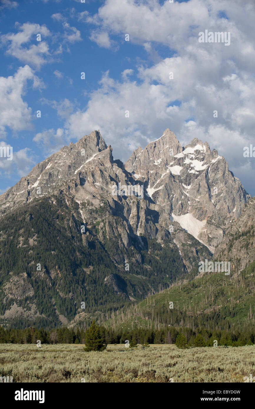 USA, Wyoming, Grand Teton National Park, Teton Range, die Kathedrale-Gruppe Stockfoto