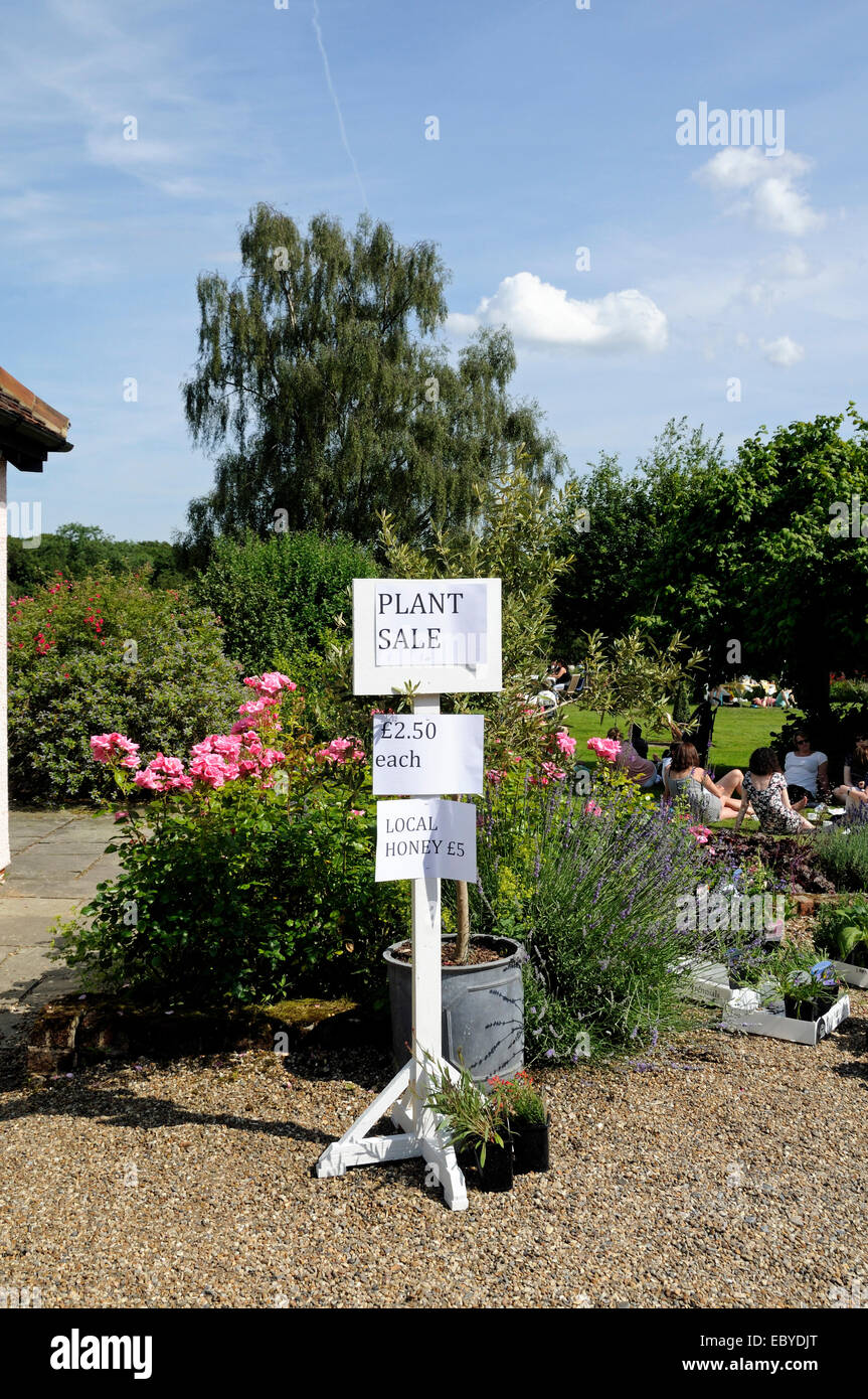 Pflanze Verkaufsschild mit Garten hinter öffentlich unter der NGS, Bayford Hertfordshire Stockfoto