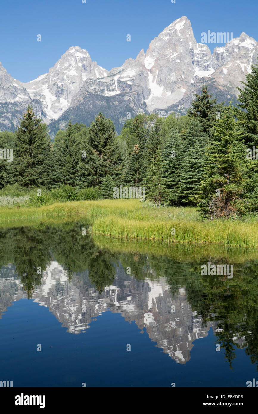 USA, Wyoming, Grand-Teton-Nationalpark, Wasser Reflexionen der Teton Range, genommen aus dem Ende des Schwabacker Straße Stockfoto