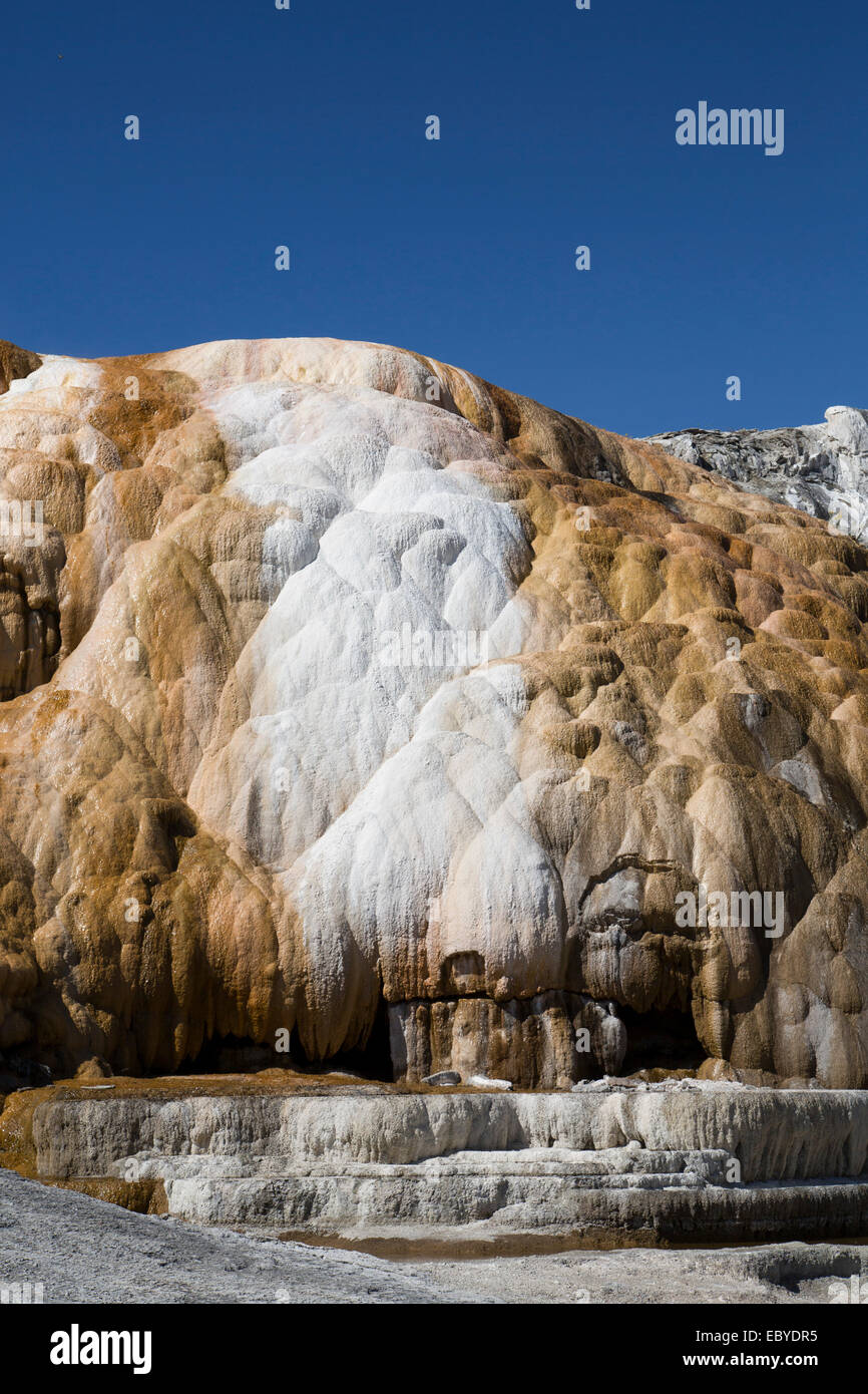 USA, Wyoming, Yellowstone-Nationalpark, Mammoth Hot Springs Stockfoto