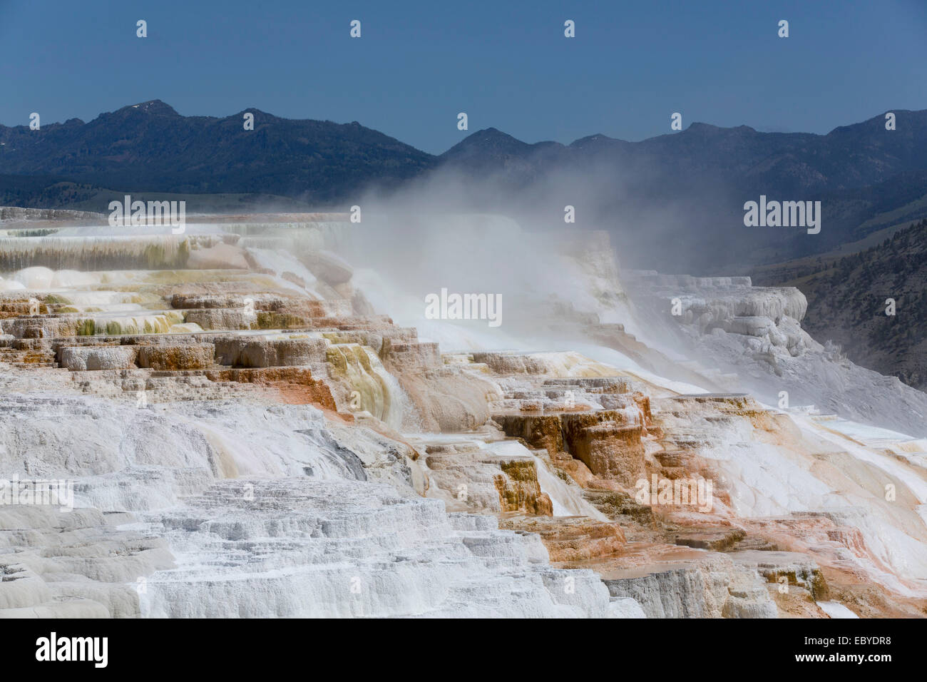 USA, Wyoming, Yellowstone-Nationalpark, Mammoth Hot Springs Stockfoto