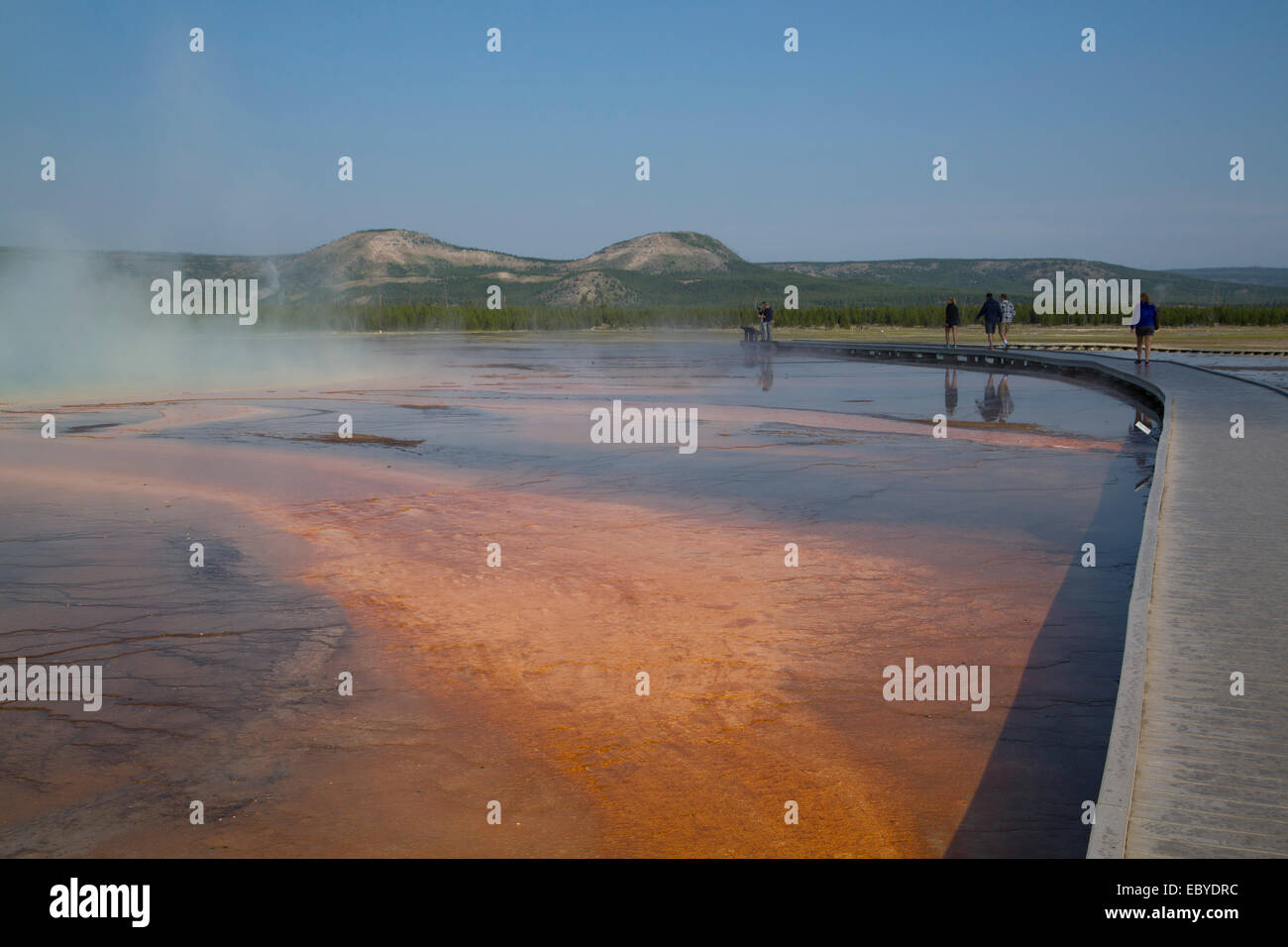 USA, Wyoming, Yellowstone-Nationalpark, Midway Geyser Basin, Grand Prismatic Pool, Pool-Abfluss von orange Bakterien und Algen (ca Stockfoto