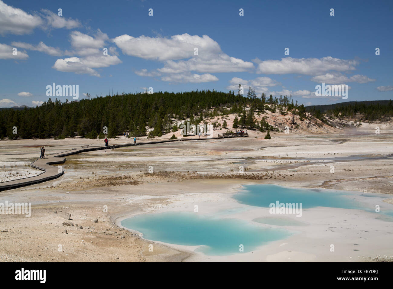 USA, Wyoming, Yellowstone Nationalpark, Norris Geyser Basin, Porzellan-Becken Stockfoto