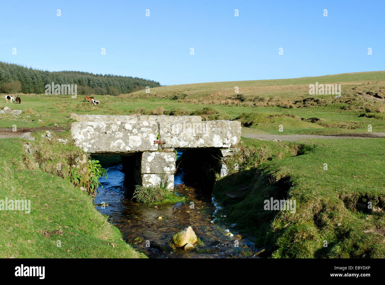 Brücke über Stream auf Bodmin Moor in Cornwall, Großbritannien Stockfoto