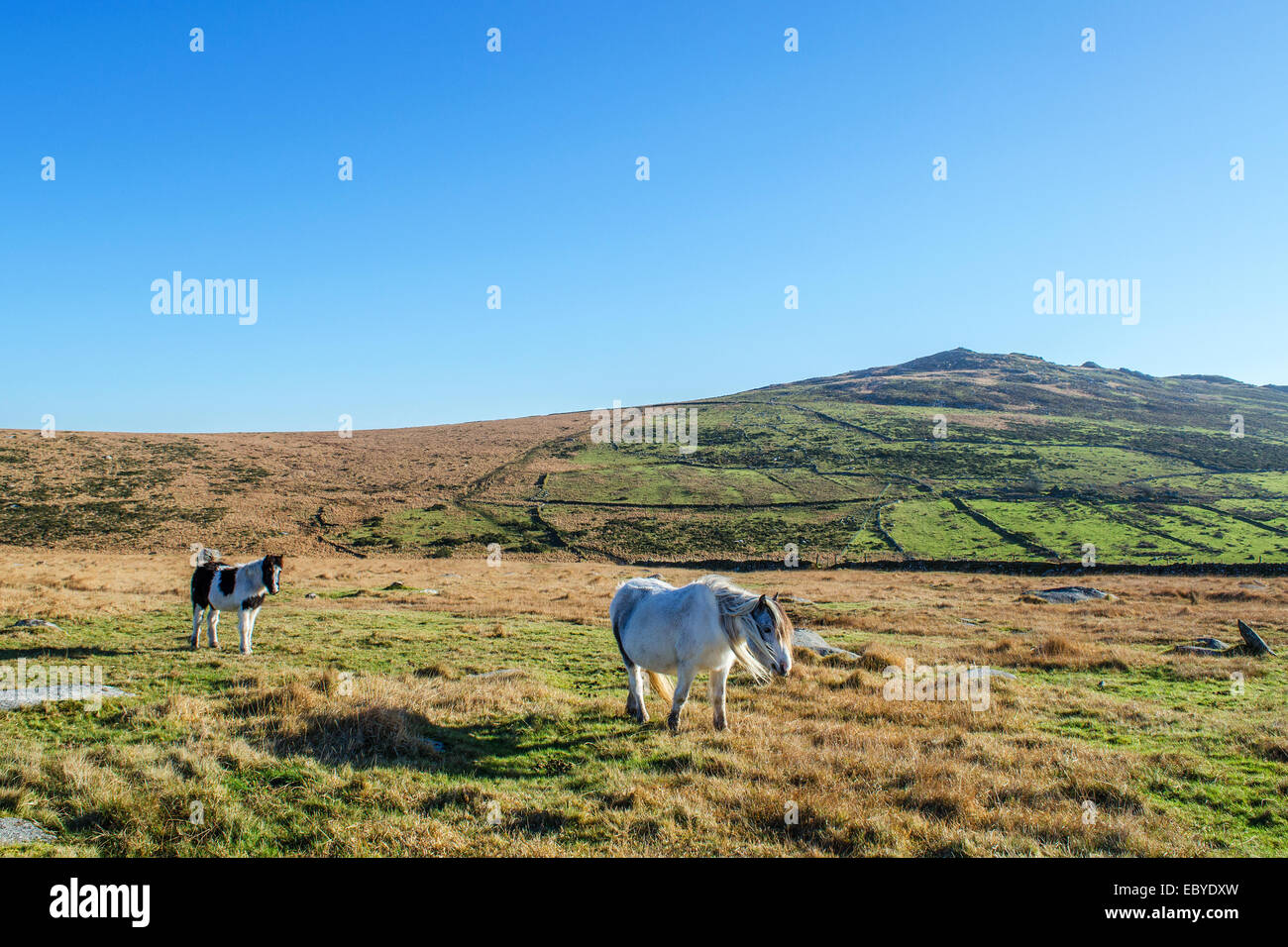 Eine Ansicht der Brown Willy Tor im Bodmin Moor in Cornwall, Großbritannien Stockfoto