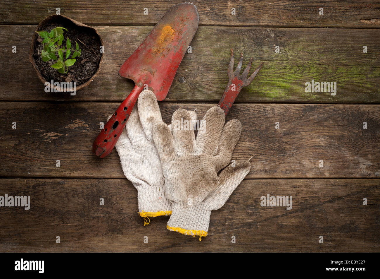 Gartengeräte auf alten hölzernen Hintergrund Stockfoto